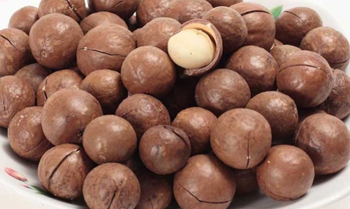 Mắc-ca âm thầm vào Tây Nguyên: Đã đến lúc “làm ăn lớn”?