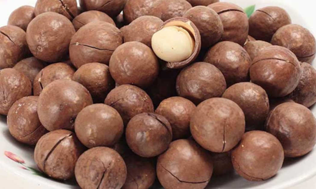 Giá nhân hạt mắc-ca thành phẩm nhập khẩu từ Úc hiện là 950 nghìn đồng/kg, tương đương khoảng 45 USD/kg.