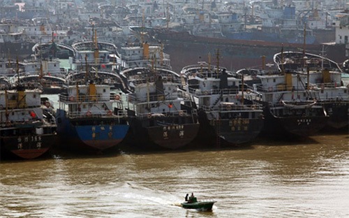 Chính phủ cũng quyết định hỗ trợ hàng năm 70% kinh phí mua bảo hiểm 
thân tàu; 100% kinh phí mua bảo hiểm kết hợp con người cho thuyền viên 
trên tàu khai thác hải sản xa bờ...