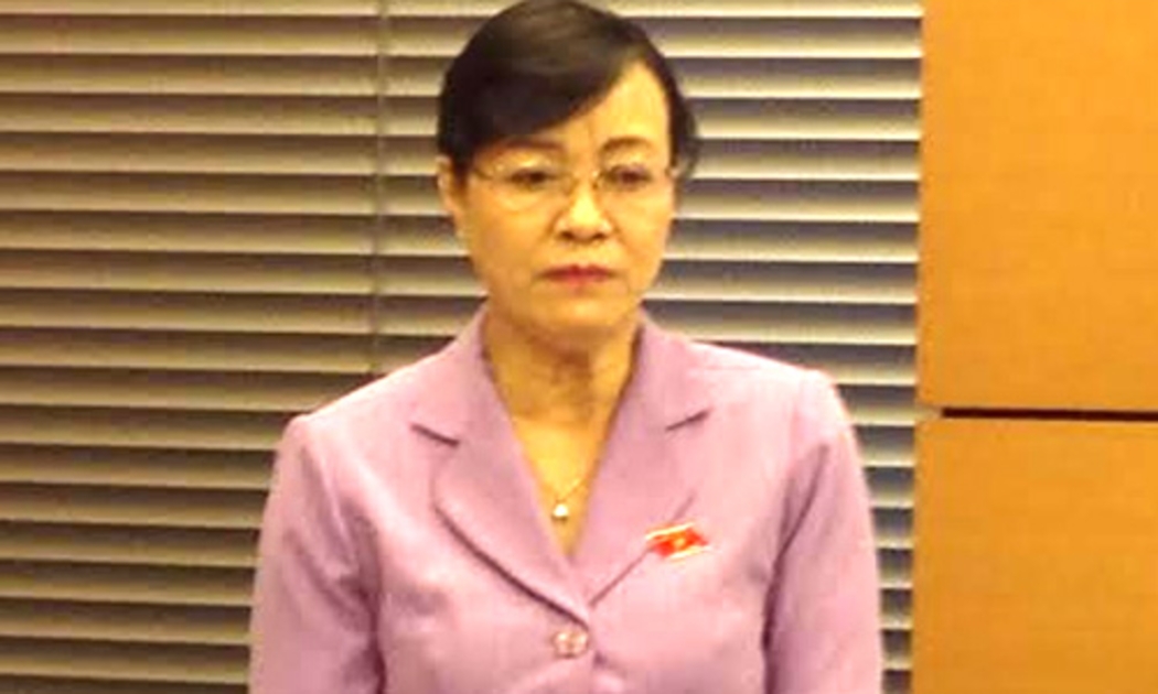 Đại biểu Nguyễn Thị Quyết Tâm cho rằng “đại biểu được bầu theo cơ cấu thì làm sao mà nói được”, vì còn bị ràng buộc bởi các mối quan hệ, bởi nơi làm việc, gia đình, con cái…