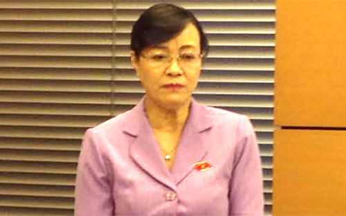 Đại biểu Nguyễn Thị Quyết Tâm cho rằng “đại biểu được bầu theo cơ cấu thì làm sao mà nói được”, vì còn bị ràng buộc bởi các mối quan hệ, bởi nơi làm việc, gia đình, con cái…