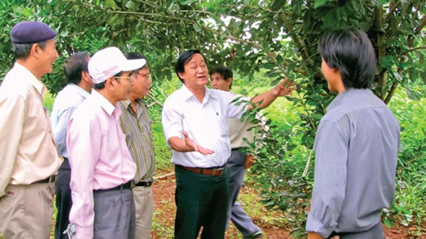 Góc nhìn: Mắc-ca và những vật cản theo kiểu “đoán mò”