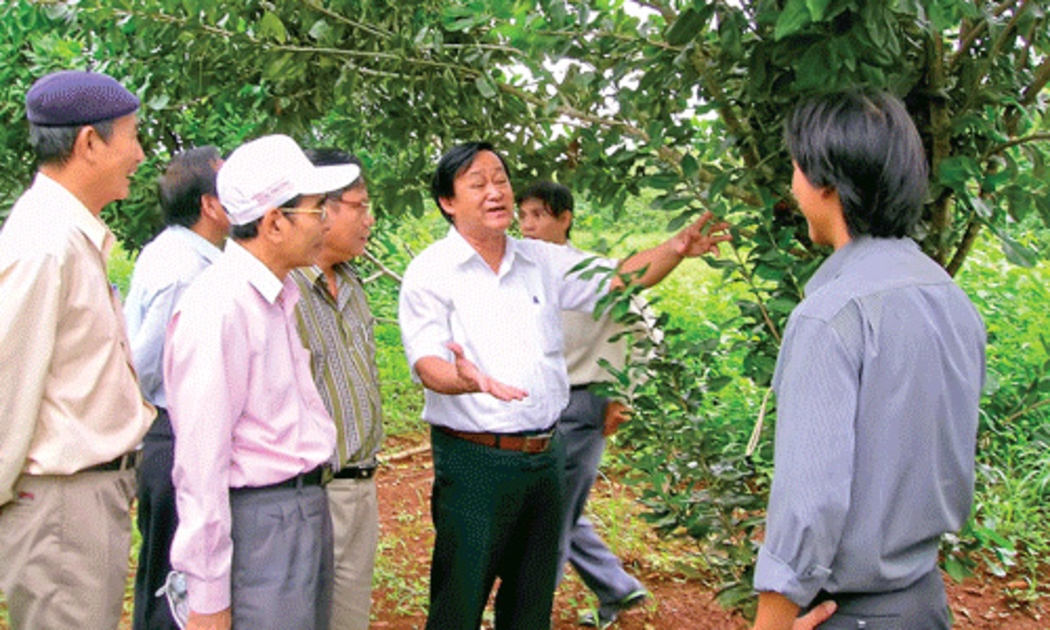 GS. Nguyễn Lân Hùng (áo trắng, ở giữa) trong một chuyến đi hướng dẫn kỹ thuật trồng mắc-ca cho nông dân tại Đắc Lắc.