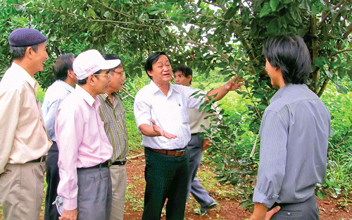 GS. Nguyễn Lân Hùng (áo trắng, ở giữa) trong một chuyến đi hướng dẫn kỹ thuật trồng mắc-ca cho nông dân tại Đắc Lắc.<br>