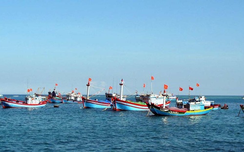  Nguyên tắc phối hợp hoạt động của đường dây nóng là đảm bảo tập trung, thống nhất trong chỉ đạo, 
điều hành trên cơ sở chức năng, nhiệm vụ, quyền hạn của các bộ, ngành, 
địa phương liên quan.