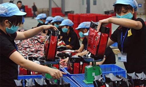 “Xuất khẩu hầu như là điểm sáng duy nhất”