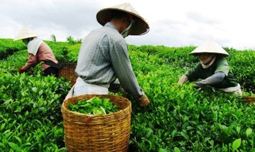 Thủ tướng: “Giảm nghèo còn rất khó khăn”