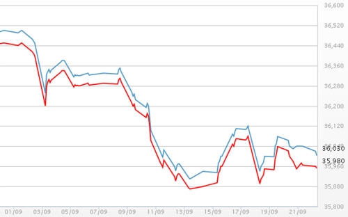 Diễn biến giá vàng SJC tại DOJI - Nguồn: DOJI.<br>