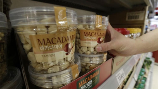 Hàn Quốc bùng nổ doanh số hạt mắc-ca sau vụ “công chúa hư”