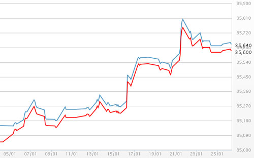 Diễn biến giá vàng SJC tại DOJI - Nguồn: DOJI.<br>