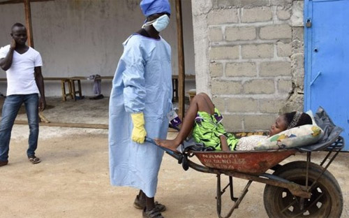 Nhân viên y tế gom bệnh nhân Ebola ở Libera - Ảnh: AFP/BBC.<br>