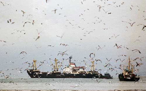 Bộ Ngoại giao Trung Quốc hiện đang thảo luận với Đại sứ quán Triều Tiên ở Bắc Kinh về vụ bắt giữ tàu - Ảnh: RIA/ Yonhap.<br>