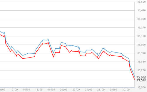 Diễn biến giá vàng SJC tại DOJI - Nguồn: DOJI.<br>