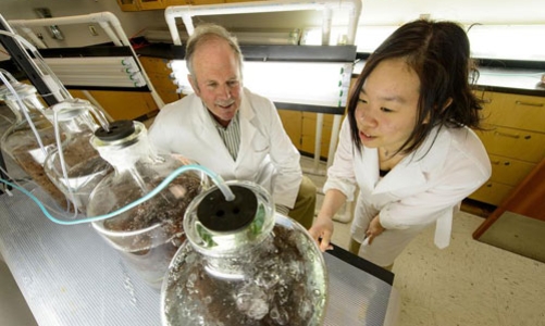 10 nghề thoải mái đầu óc nhất ở Mỹ năm 2014