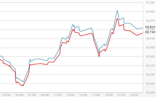 Diễn biến giá vàng SJC tại DOJI - Nguồn: DOJI.<br>
