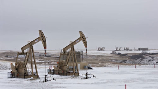 Giá dầu tăng liên tục 4 phiên