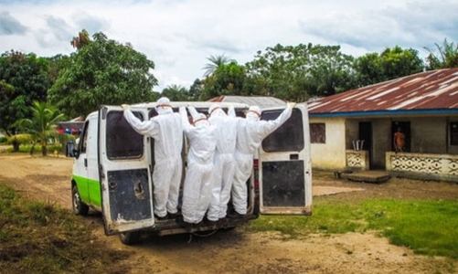 Sắp có kháng thể chữa Ebola cho ổ dịch ở Tây Phi