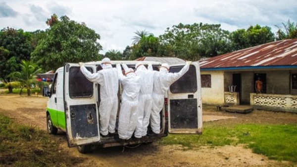 Sắp có kháng thể chữa Ebola cho ổ dịch ở Tây Phi