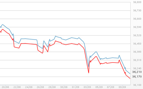 Diễn biến giá vàng SJC tại DOJI - Nguồn: DOJI.<br>