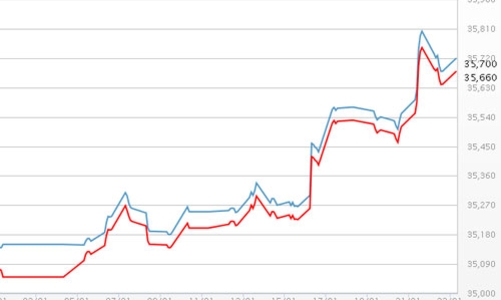 Giá USD tự do tăng liên tục, vàng SJC tăng nhẹ
