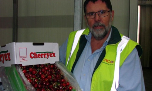 “Việt Nam dừng nhập hoa quả Australia vì sợ ruồi”