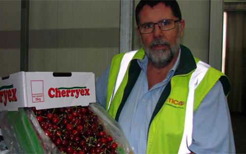 Ông Hugh Molloy, một quan chức của công ty xuất khẩu hoa quả Antico, Australia - Ảnh: ABC.<br>