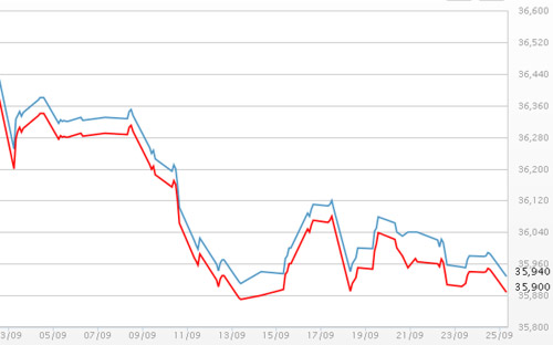 Diễn biến giá vàng SJC tại DOJI - Nguồn: DOJI.<br>