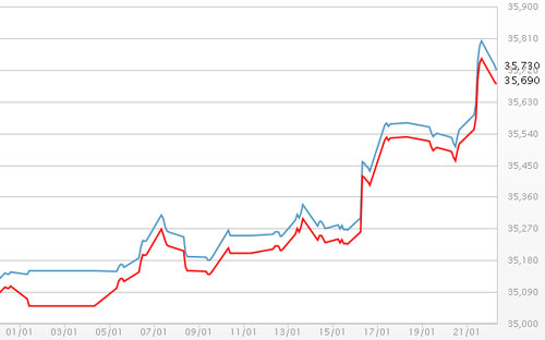 Diễn biến giá vàng SJC tại DOJI - Nguồn: DOJI.<br>