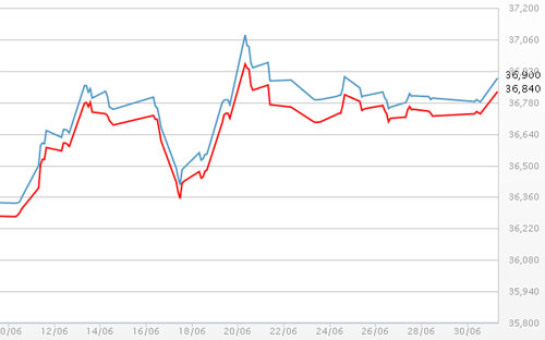 Diễn biến giá vàng SJC tại DOJI - Nguồn: DOJI.<br>