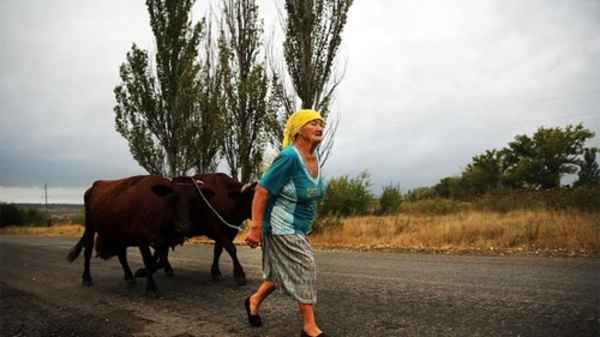 Kiev xác nhận “Nga đã rút 70% quân khỏi Ukraine”