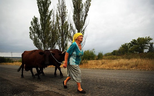 Một phụ nữ địa phương trên con đường ngoại ô thành phố Donetsk, miền Đông Ukraine ngày 9/9. Lệnh ngừng bắn ở miền Đông Ukraine đang được duy trì - Ảnh: Getty/WSJ.<br>