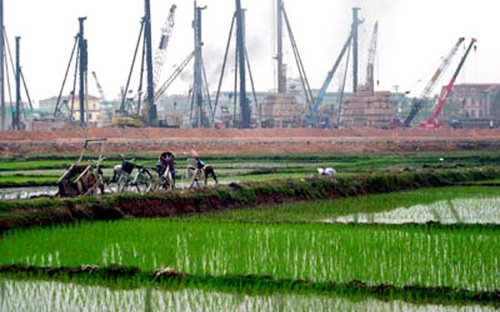 Mục tiêu của Chính phủ là giữ bằng được 3,8 triệu ha đất lúa.<br>
