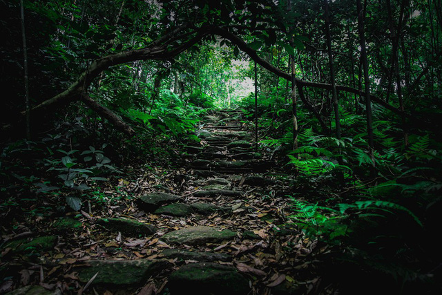 8 địa điểm để bạn làm quen với trekking tại Việt Nam - Ảnh 4.