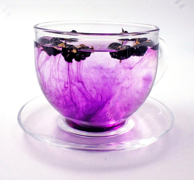 Kỷ tử đen: quý và hiếm hơn cả kỷ tử đỏ - Ảnh 6.