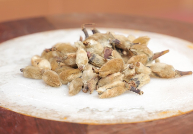 Bài thuốc gia truyền trăm năm mang niềm vui đến với hàng triệu người viêm mũi xoang - Ảnh 1.