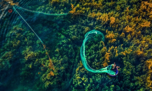 Cuộc thi và Triển lãm Ảnh nghệ thuật Việt Nam 2020