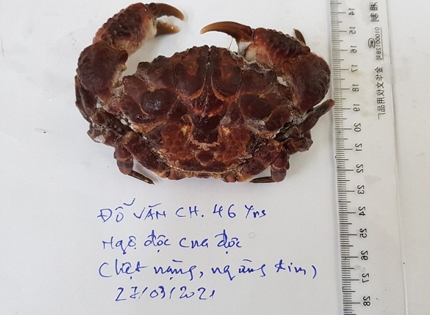 3 loại cua biển có độc tính mạnh, tuyệt đối không nên ăn - Ảnh 1.