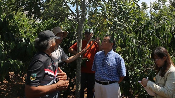 Chuyên gia Mỹ sang Việt Nam khảo sát mắc-ca