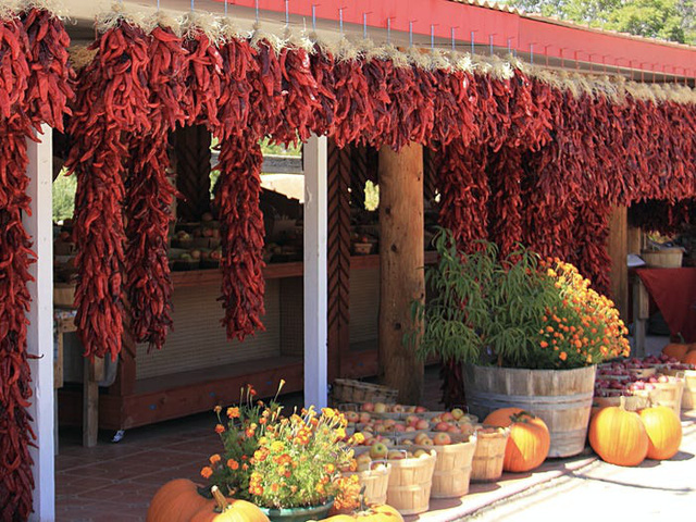 16 điều hấp dẫn của mùa thu nước Mỹ - Ảnh 9.