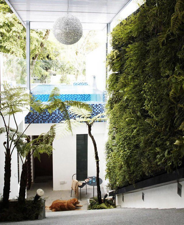 10 ý tưởng đưa cây vào trong nhà - Ảnh 1.