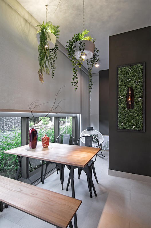 10 ý tưởng đưa cây vào trong nhà - Ảnh 4.