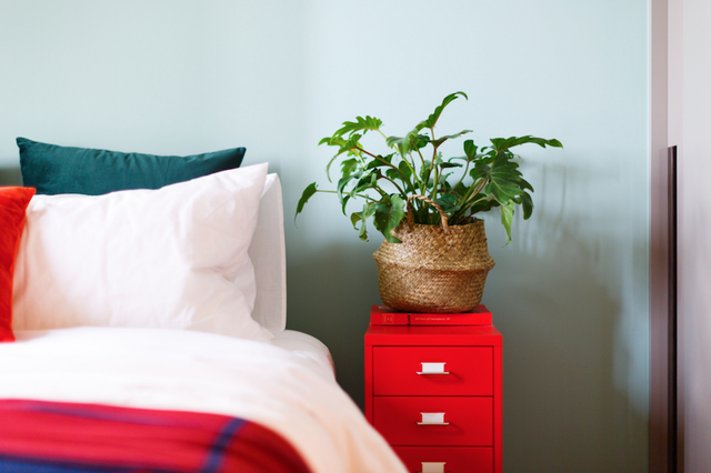 Căn hộ nhỏ diện trang phục colour block - Ảnh 3.