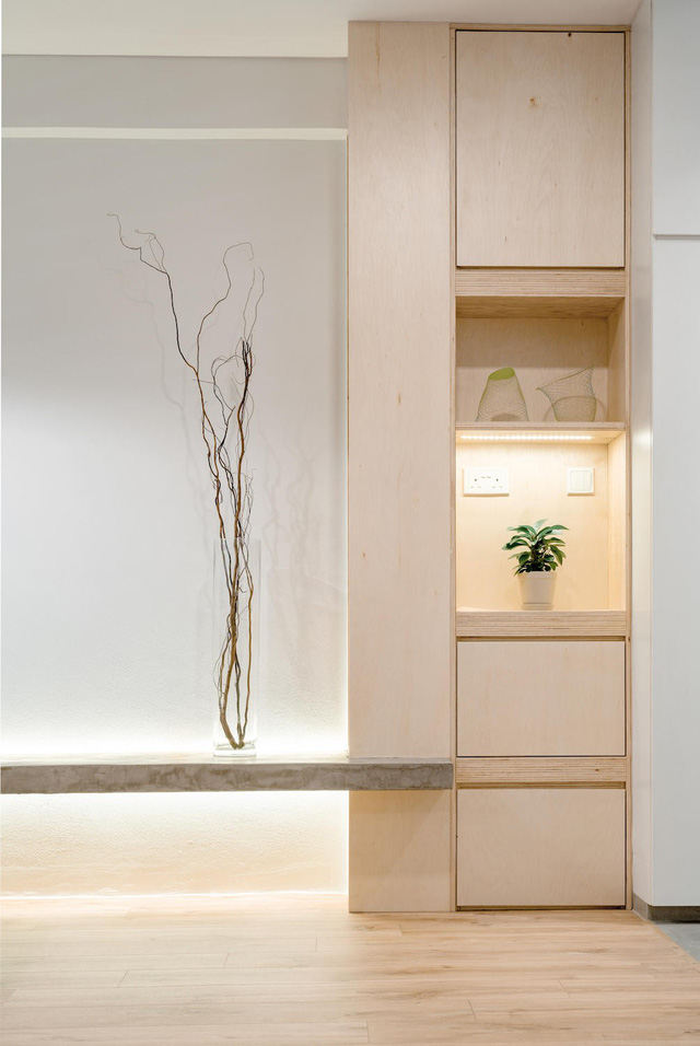 Căn hộ tối giản với nội thất gỗ dán - Ảnh 2.