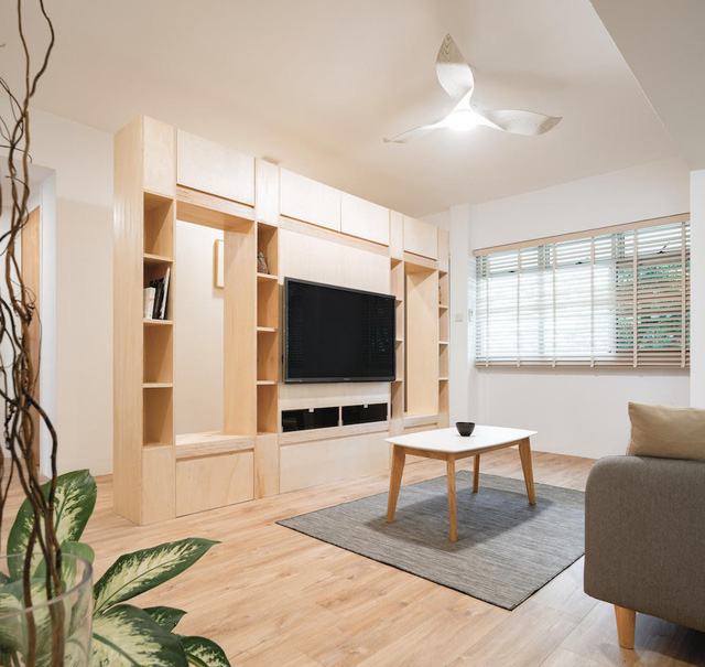 Căn hộ tối giản với nội thất gỗ dán - Ảnh 1.