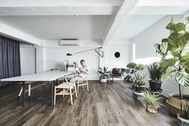 Căn hộ trắng toàn tập của một anh chàng yêu cây - Ảnh 1.