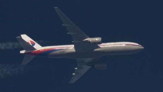 Một máy bay của Malaysia Airlines.<br>