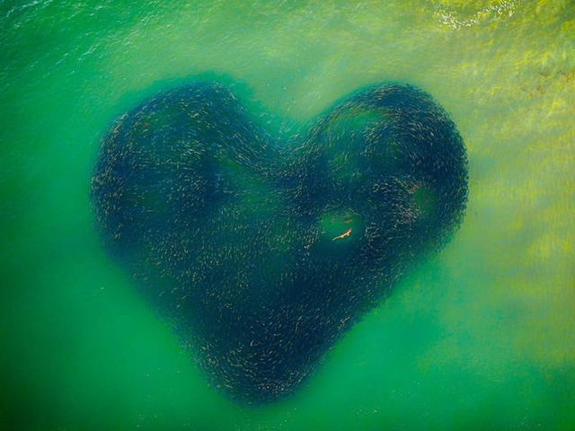 65 bức ảnh ghi lại vẻ đẹp của thế giới từ trên không - Ảnh 11.