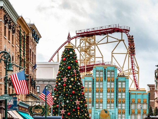 Nước Mỹ: ngắm Giáng sinh muôn màu muôn vẻ - Ảnh 9.