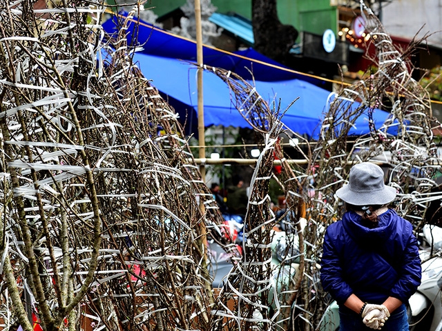 Quang cảnh vắng vẻ khác lạ của chợ hoa Hàng Lược ngày cận tết - Ảnh 2.