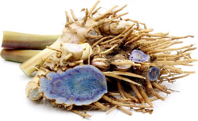 Bạn đã biết công dụng của nghệ đen? - Ảnh 1.